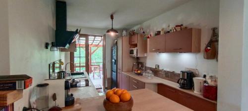 Saint-Colomban-des-Villards Ski Chalet | Chalet Le Loup Bouquetin