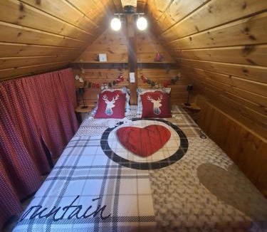 Saint-Martin-sur-la-Chambre Ski Chalet | Chalet savoyard "le Sapinet"