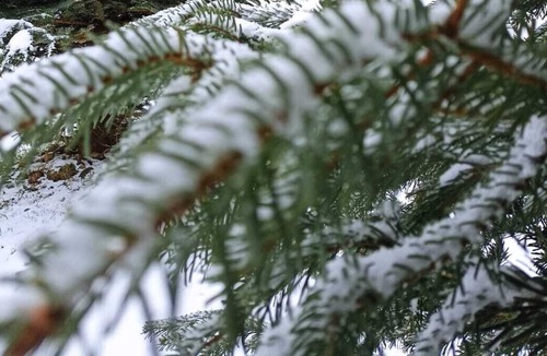 Aulus-les-Bains Ski Chalet | Chalet à 200m des Thermes