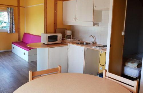 Chaille-les-Marais Other | Chalet à Chaillé-les-Marais - Terrasse et salon de jardin - API-1-52-363