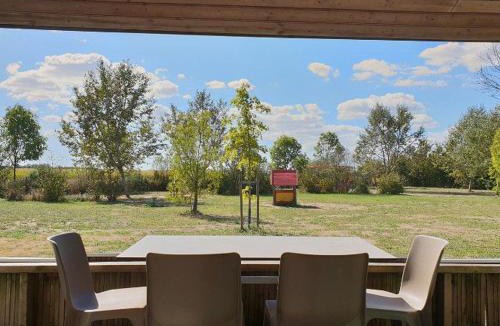 Chaille-les-Marais Other | Chalet à Chaillé-les-Marais - Terrasse et salon de jardin - API-1-52-363
