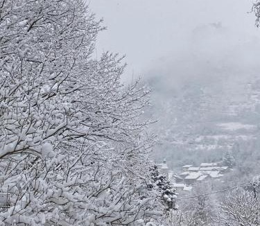 Albies Ski Chalet | Chalet 09