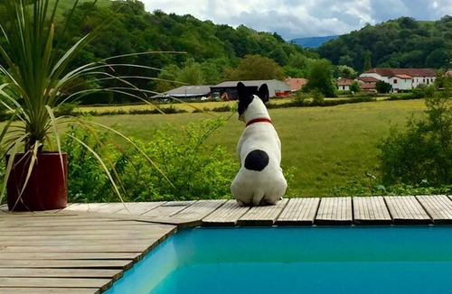 La Bastide-Clairence Villa | Chalet 1 (Sleeps 2, 1 Bedroom)