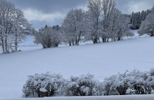Le Tholy Ski Chalet | Chalet 10 Personnes