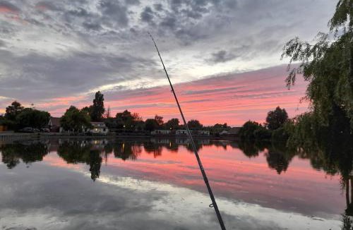 Ardres Other | CHALET 23 - Camping Les Robinson du Lac - Pêche gratuite sans permis