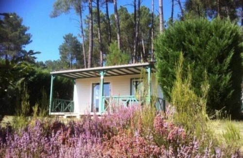 Tamnies Ski Chalet | Chalet 4 étoiles - Piscine - eeecic