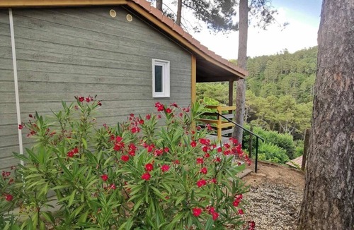 Ucel Ski Chalet | Chalet 4 étoiles - Piscine - ccbeheh