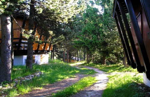 Pyrenees 2000 Ski Chalet | Chalet 4/5 people in Pyrénées 2000 in a pine glade near Font Romeu