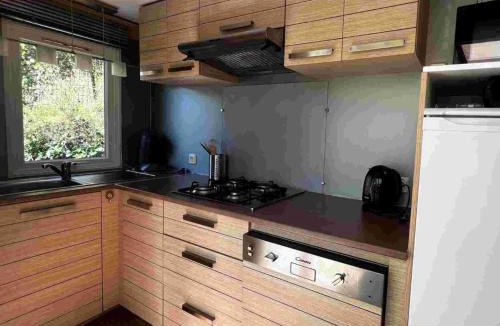 Espira-de-Conflent Other | Chalet 4 Pers - Terrasse - API-1-52-1751