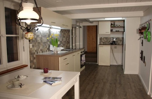 Innertkirchen Ski Chalet | Chalet 9