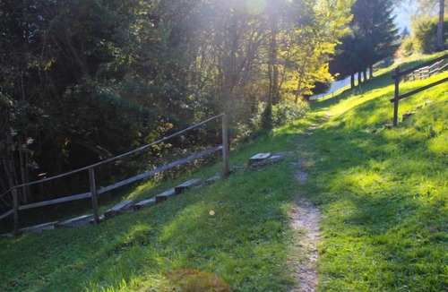 Moleson House | Chalet 969 by Interhome