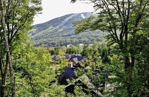 Stoneham Ski Chalet | Chalet 9A Chemin Blanc by Les Chalets Alpins