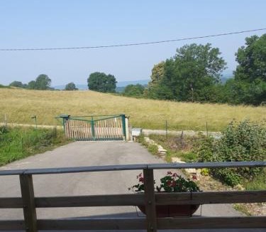 Cornod Ski Chalet | Chalet a la montagne