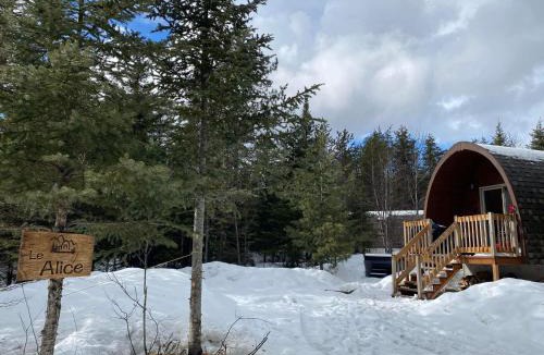 Saint-Alexis-des-Monts Ski Chalet | Chalet Alice à louer avec Spa Mauricie