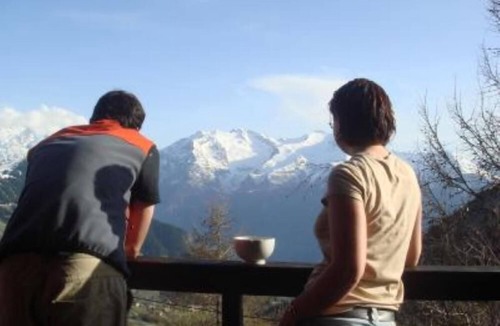 Viel-Alpe Ski Chalet | Chalet - Alpe d'Huez