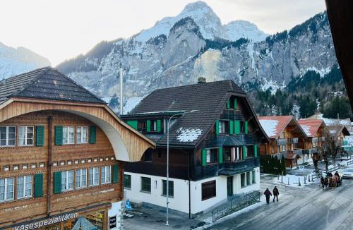 Kandersteg Apartment | Chalet Alpine
