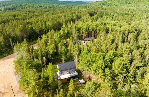 Saint-Alexis-des-Monts Ski Chalet | Chalet ALTO - Nature & Détente