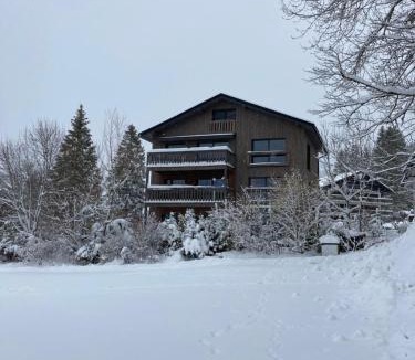Schwarzsee Apartment | Chalet Alte Post