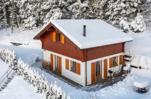 Chamoson Ski Chalet | Chalet Ambigu by Interhome