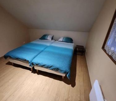 Signy-lAbbaye Ski Chalet | Chalet Antlana 2 avec cheminée