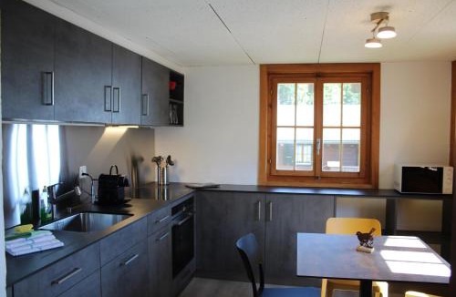 Moleson Ski Chalet | Chalet Antoine 5p