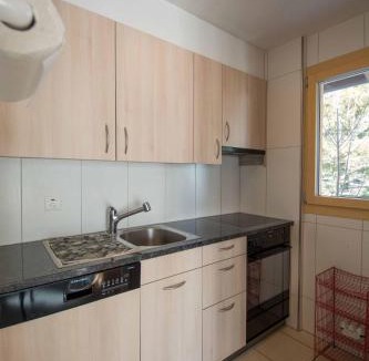 Adelboden Apartment | Chalet Apollo