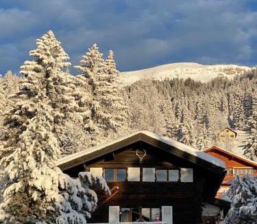 Randogne Ski Chalet | Chalet atypique Colorado Crans-Montana
