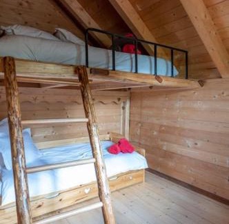 Thiefosse Ski Chalet | Chalet au coeur des Vosges/Le Chalet d'Hannopré