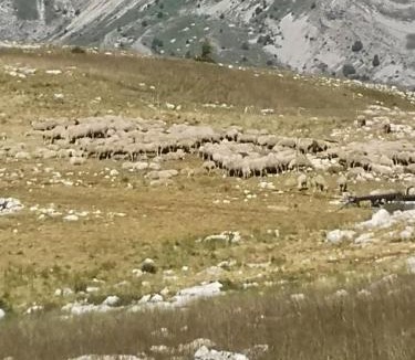 La Joue du Loup Ski Chalet | Chalet Bastilor