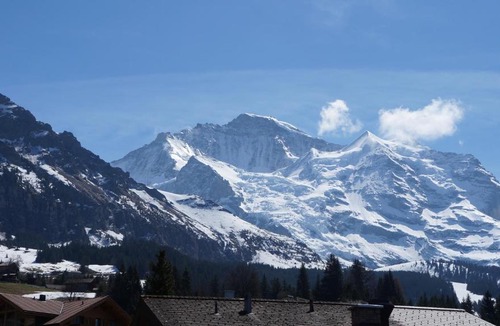 Wengen Apartment | Chalet Bella Vista 2