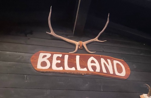 Bellwald House | Chalet Belland by Interhome