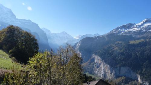 Wengen Apartment | Chalet Bergkristall