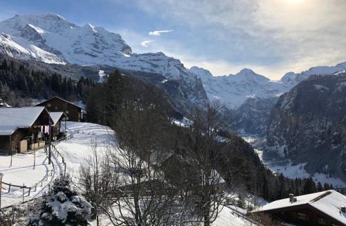 Wengen Apartment | Chalet Bergkristall