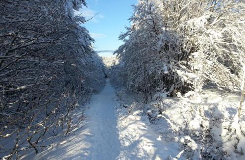 Xonrupt-Longemer Ski Chalet | Chalet Biazot