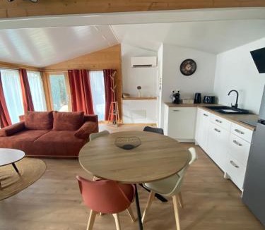 Saint-Jean-de Niost Ski Chalet | Chalet bois cosy indépendant climatisé avec petit jardin