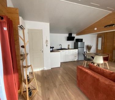 Saint-Jean-de Niost Ski Chalet | Chalet bois cosy indépendant climatisé avec petit jardin