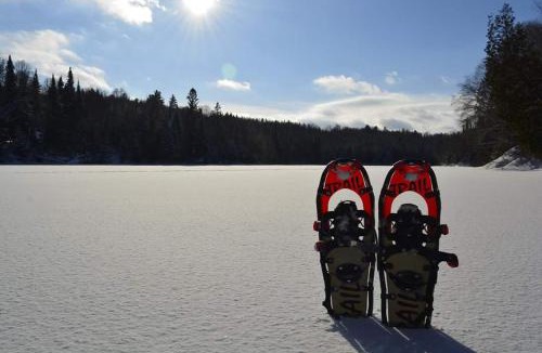 Lac-aux-Sables Ski Chalet | Chalet bois rond aux paysages uniques avec Spa !