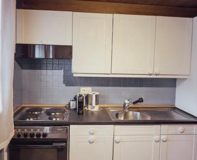 Lenk Apartment | Chalet Brauerei