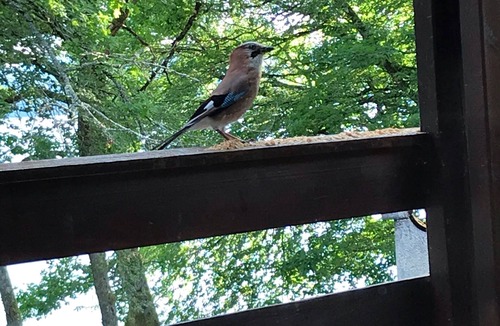 Montsauche-les-Settons Ski Chalet | CHALET BY LAKE DES SETTONS