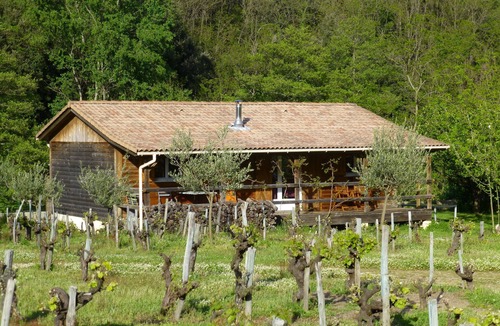 Le Martinet Cottage | Chalet Cévennes Gard Ardéche swimming pool calm garden many activities for all