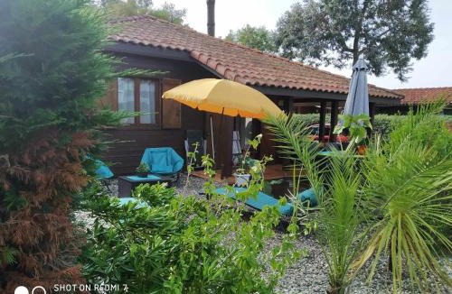 Lit-et-Mixe Other | Chalet Camping Les Vignes