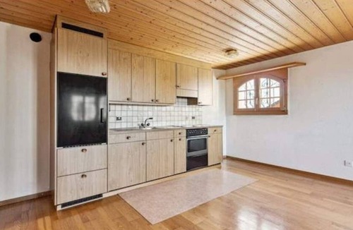 Reichenbach im Kandertal Condo | Chalet in the Alps with a view & patio