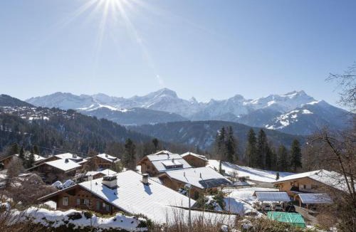 Chesieres Ski Chalet | Chalet Chalet Domino by Interhome