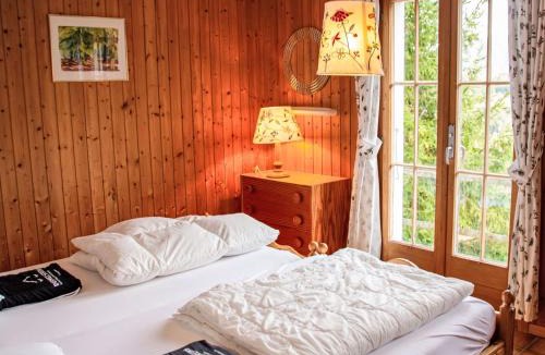 Moleson Ski Chalet | Chalet Chalet Les 3 Marmottes by Interhome