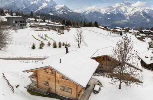 Villars-sur-Ollon Ski Chalet | Chalet Chalet Olivier by Interhome