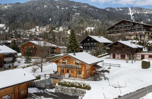 Villars-sur-Ollon Ski Chalet | Chalet Chalet Olivier by Interhome