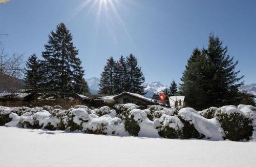 Chesieres Ski Chalet | Chalet Chalet Shambala by Interhome