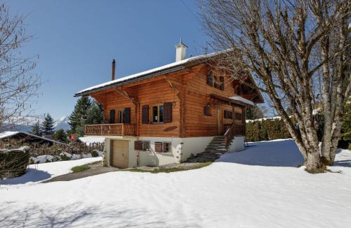 Chesieres Ski Chalet | Chalet Chalet Shambala by Interhome