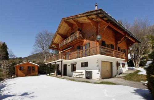 Chesieres Ski Chalet | Chalet Chalet Shambala by Interhome