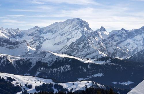 Villars-sur-Ollon Ski Chalet | Chalet Chalet Tetras by Interhome